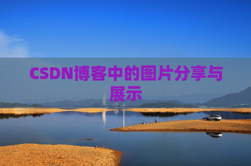 CSDN博客中的图片分享与展示